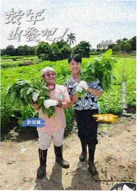 深夜书房 文化访谈综艺